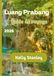Luang Prabang Luang Prabang Guide de voyage 2026