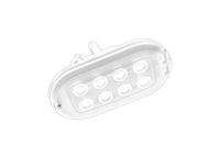 OVAL LED BASIC opbouwkanaallamp 3,40 W, 370 lm, 4000 K, Ra> 80, IK10, IP44, energieklasse A, beschermingsklasse II, stralingshoek 120°