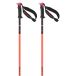 Salomon Polar Pro S3 Stöcke