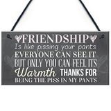 RED OCEAN Beste Vriend Teken Vriendschap Gift Grappig Bedankt Nieuwigheid Verjaardag Shabby Chic Opknoping Plaque