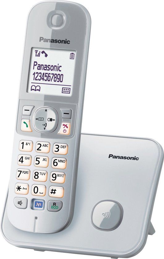 Panasonic KX-TG6811GS parel zilver