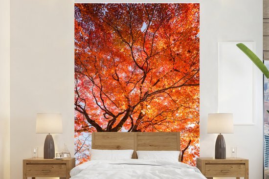 Nr1Wallpaper Behang - Fotobehang - Japanse esdoorn met oranje bladeren - Breedte 155 cm x hoogte 240 cm