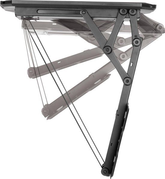 Speaka Professional TV Ceiling Mount 58"