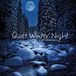 Quiet 2L Quiet Winter Night: An Acoustic Jazz Project