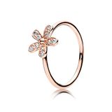 Pandora Damen-Ringe Silber_vergoldet mit '- Ringgröße 58 (18.5) 180932CZ-58