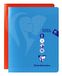 Clairefontaine 303727C Mimesys geniet Werkschrift - 17x22 cm - 40 Blad geruit Séyès - Wit papier 90 g en uni bladen 125 g - Polypro omslag - Willekeurige kleur