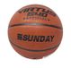 ODS Sunday Virtus 640 basketbal