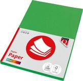 Quantore Kopieerpapier COL-100 A4 120gr Grasgroen | 10 stuks