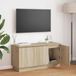 Maison Exclusive - Meuble TV, dimensions 100 x 38 x 49 cm, en panneaux de particules imitation chêne Sonoma