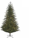 Black Box Trees Black Box Frasier Fir Kunstkerstboom - 260 cm - Groen - 648 LED Lampjes