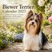 Biewer Terrier Calendar 2027: 12 Months of Elegant, Playful, Affectionate, and Beautiful Tricolored Toy Terriers