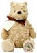 Rainbow Designs Disney Pluche Knufffel Classic Winnie the Pooh 30 cm