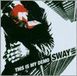 This All City This Is My Demo [cd/dvd]