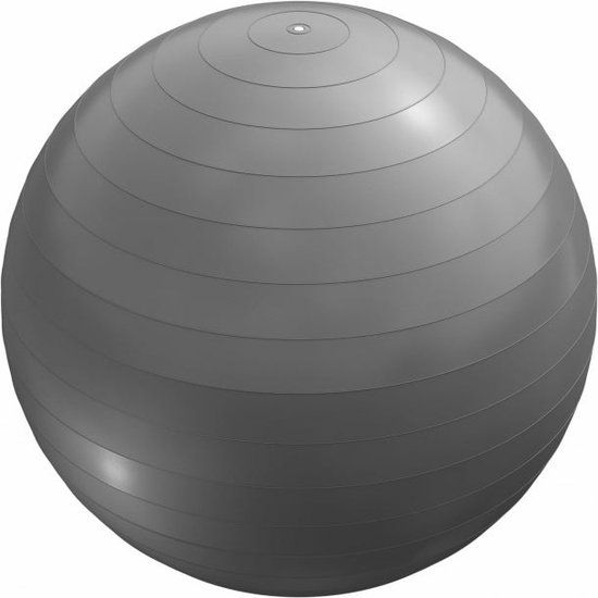 Gorilla Sports Fitnessbal Ø 65 cm - Grijs - Incl. Pomp