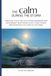 THE CALM DURING THE STORM: Practical tools for cultivating awareness and discernment, maintaining clarity amid change, and navigating the chaos of our times