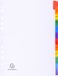 Exacompta 20x Tabbladen karton 160g - versterkte gekleurde tabs + indexblad - 12 tabs - januari/december A4 - Wit