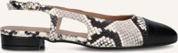 Notre-V 08-490 Hakken Dames - Beige - Maat 41