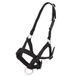 PFIFF 103101 Pako Alpacahalster, verstelbaar, met clipsluiting, zwart