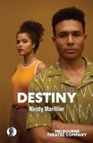 Destiny Libri GmbH Destiny Paperback 88 pages Kirsty Marillier