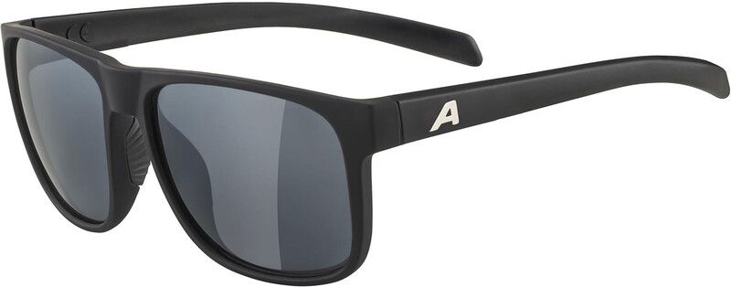 Alpina Nacan III Sunglasses, Black