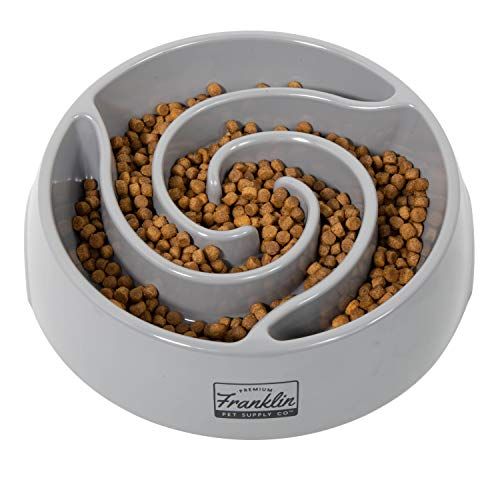 Franklin Pet Supply Slow Feed Tornado Bowl - Grijs