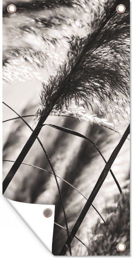 GreatGardenPosters Tuinposter - Pampas Pluimen - Zwart - 80x160 cm - Bannerdoek - Buiten