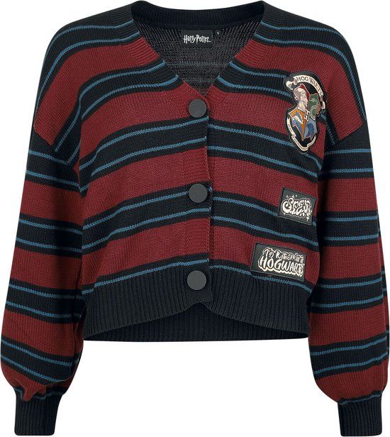 Harry Potter DA Grunge Collection S.P.E.W. Cardigan Cardigan bordeaux-navy blauw