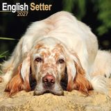 Avonside Publishing English Setter 2027 Calendar