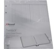 Rexel Twinlock Crown 2 ½ C Refill Sheets Double Cash Ledger (Pack van 100 vellen)