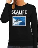 Bellatio Decorations Shoppartners Bv Dieren foto sweater Dolfijn - zwart - dames - L