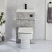 Hudson Reed Exton Toilet Fontein Combinatie