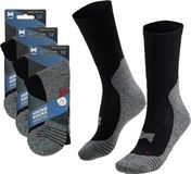 Apollo wandelsokken - zwart - volwassenen - maat 45/47 - Outdoor - Coolmax - Voor intensief gebruik - 3x paar