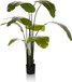 hjh office BANANE - Kunstplant Groen - 170 cm