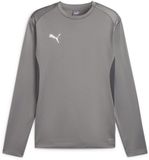Puma Crew-sweatshirt TeamGoal Training Sweat 658649