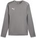 Puma Crew-sweatshirt TeamGoal Training Sweat 658649