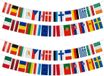 Bellatio Decorations Europa vlaggenlijn - 2x - EU landen vlaggen - 5 meter - polyester - versiering - Europese slinger