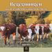 Begegnungen LumiraBloom Artbook Band X: Begegnungen mit den stillen Bewohnern der Berge