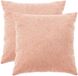 vidaXL - Kussensloop - 2 stuks - HEERLEN - Roze - 60 x 60 cm - Bouclé