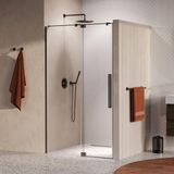 Brauer Stellar - Nisdeur - 2-Delig - Draaiend - Helder Glas - 120 x 200 cm - Omkeerbaar - incl. Glascoating - PVD Gunmetal Geborsteld