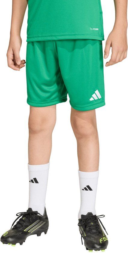 Adidas Entrada 26 Korte Broek Groen 5-6 Years Kinderen