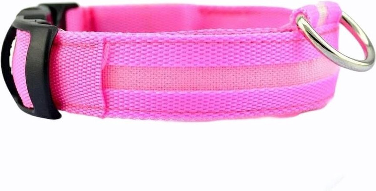 Dutchwide Halsband LED Maat M 37 - 46 cm USB Oplaadbaar Hondenhalsband Puppy Riem - Roze Waterbestendig Hond Dog Kat Kitten Cat - Dutchwide®