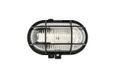 Bulleye Groenovatie Plafond-/ Wandarmatuur E27 Fitting - Waterdicht IP44 - Zwart