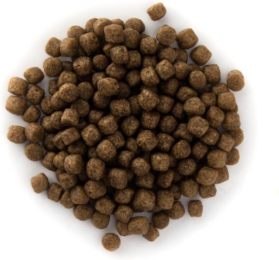 Coppens Koivoer Grower 6 mm 15 kg - Drijvend visvoer voor Koi - Alle formaten vis - Vijverwater