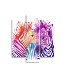 Homemania Wandafbeelding, zebra, 3-delig, dieren, woonkamer, slaapkamer, meerkleurig, 57 x 0,3 x 60 cm, HM203MDF3, MDF