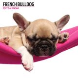Franse Bulldog 2027 Moderne Kalender