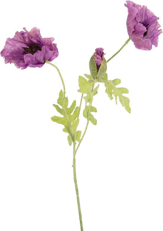 Easyplants Kunstbloem - Nepbloem - Poppy - Zijde - Lila - 73 cm