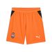 PUMA Sportbroek oranje / zwart / wit
