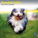 Baker & Bray Baker And Bray Bearded Collie Kalender 2027