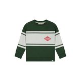Stains&Stories rechtvallende gestreepte sweater - donkergroen
