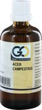 GO Acer campestris bio 100 millilitres